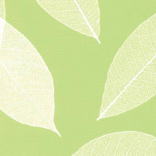 DECOR Glass 010